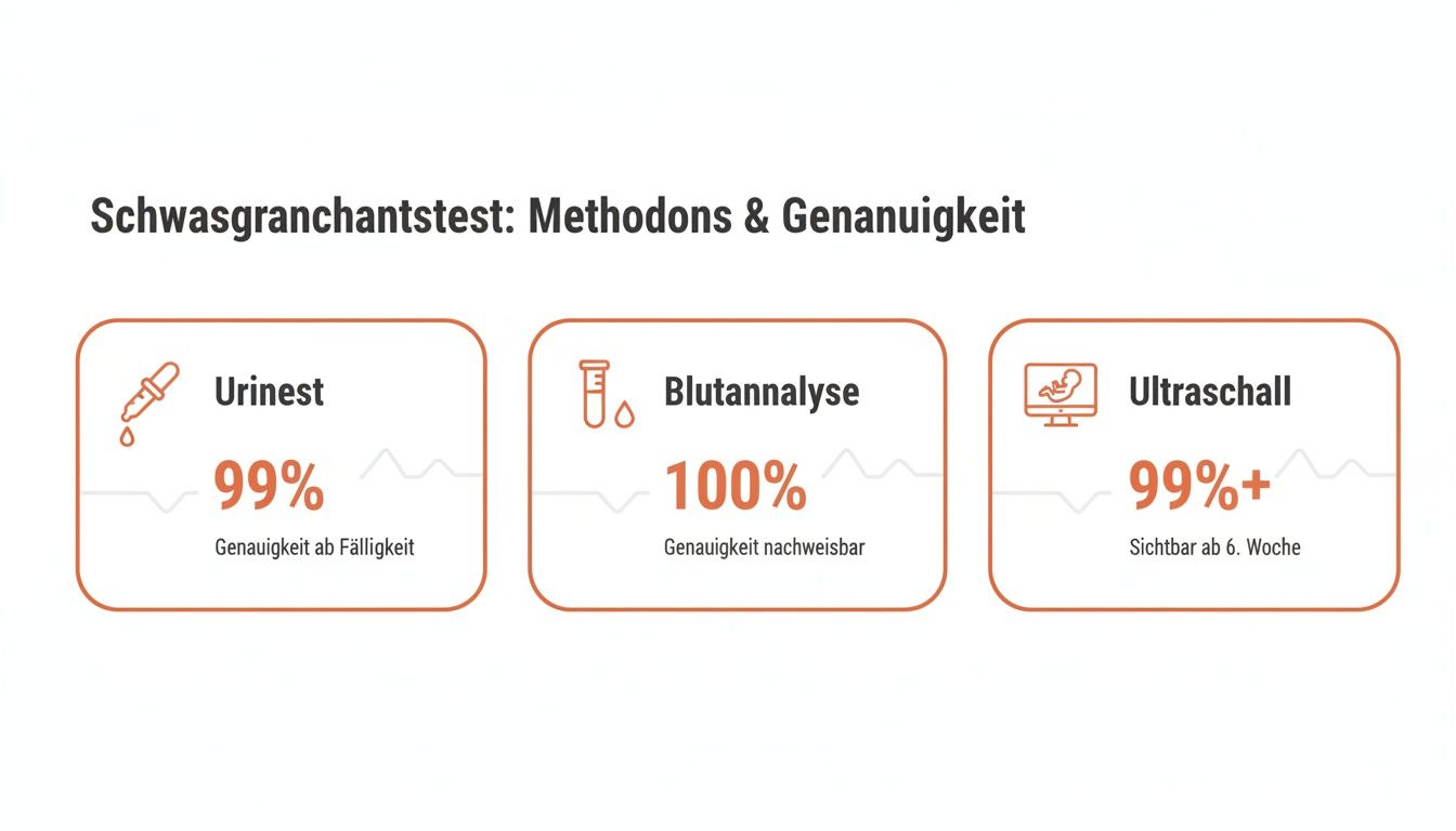 Infografik über Schwangerschaftstests: Urintest (99%), Blutanalyse (100%) und Ultraschall (99%+) mit Genauigkeitsangaben.