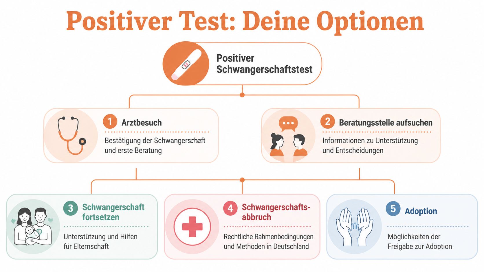 Eine Infografik, die erste Schritte und Optionen nach einem positiven Schwangerschaftstest in Deutschland übersichtlich darstellt.