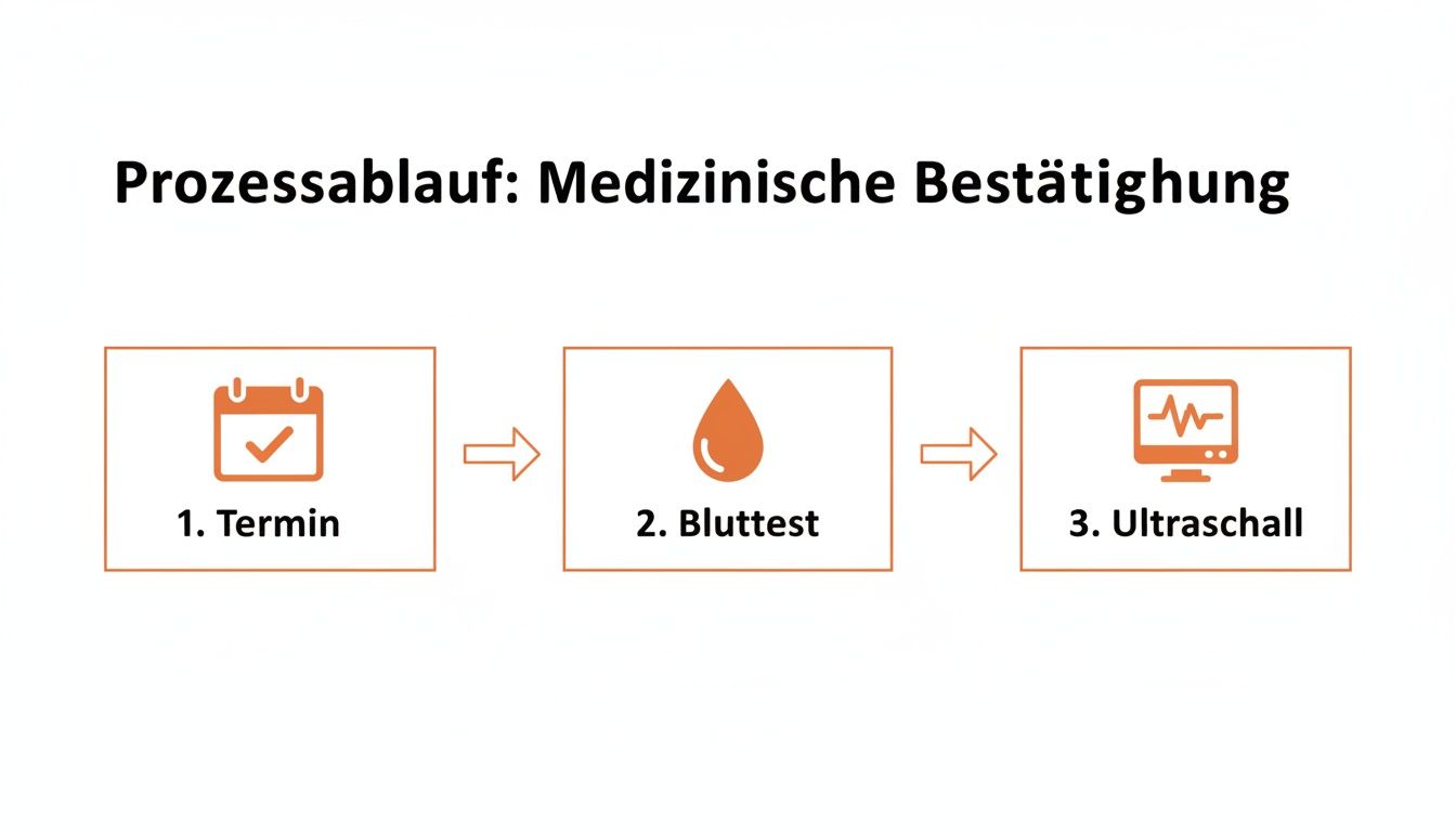 Prozessablauf zur medizinischen Bestätigung: 1. Termin, 2. Bluttest, 3. Ultraschall.